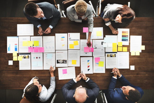 fraud consulting